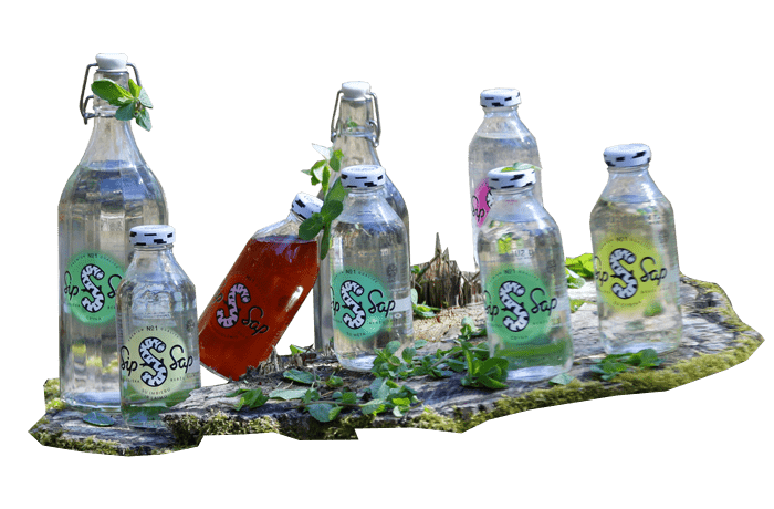 How is organic birch water made?